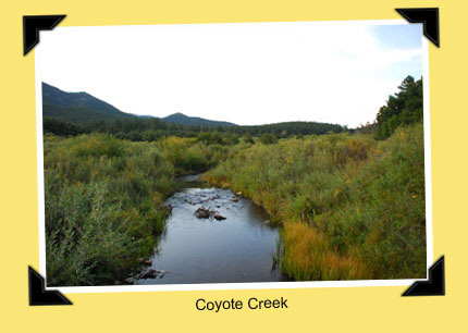 Coyote Creek